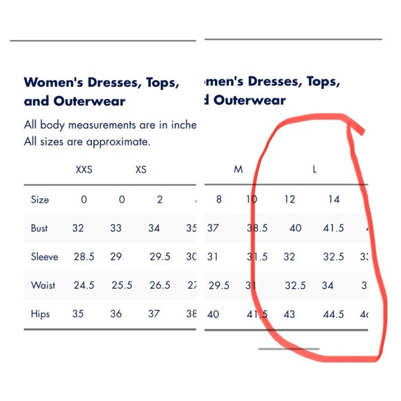 Tommy Hilfiger Belted Cropped Jumpsuit Size 12 - Picture 9 of 9